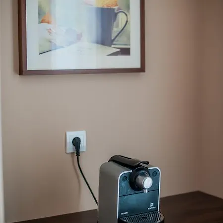 Braun Deluxe Penzion *