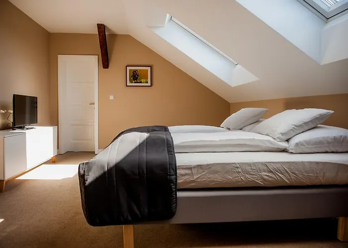 Guest house Braun Deluxe Sopron