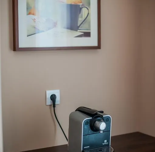Braun Deluxe Guest house 3*